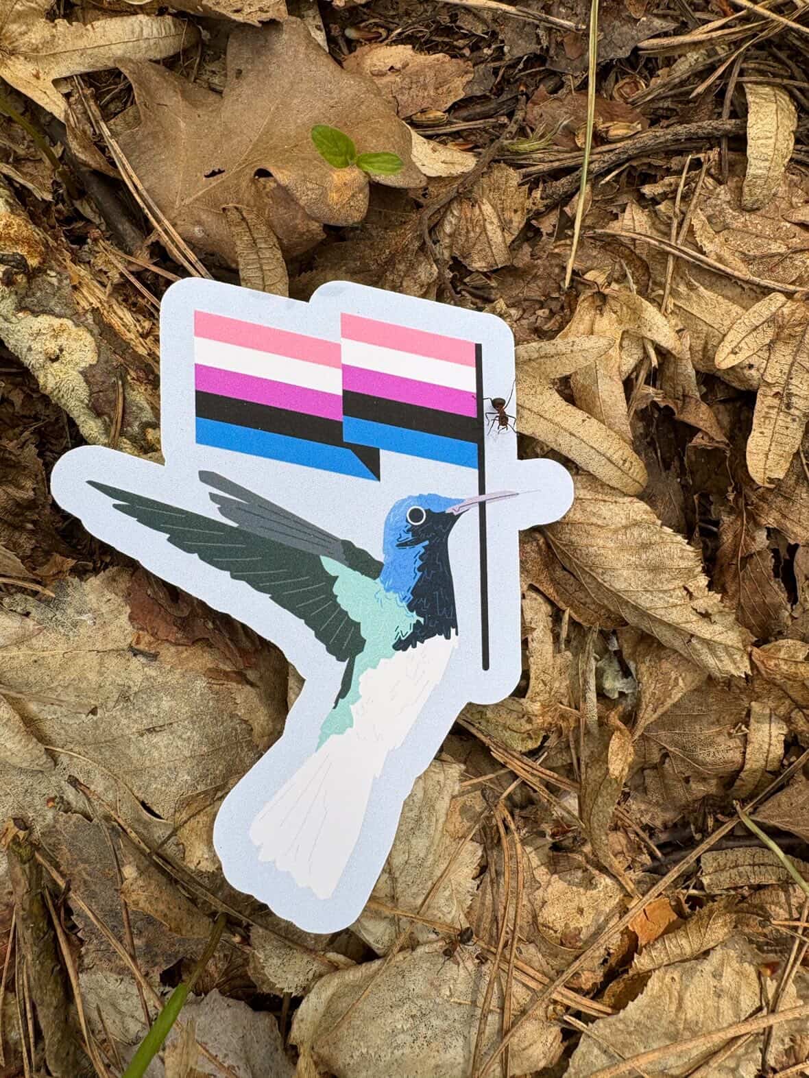 Genderfluid White-necked Jacobin Sticker