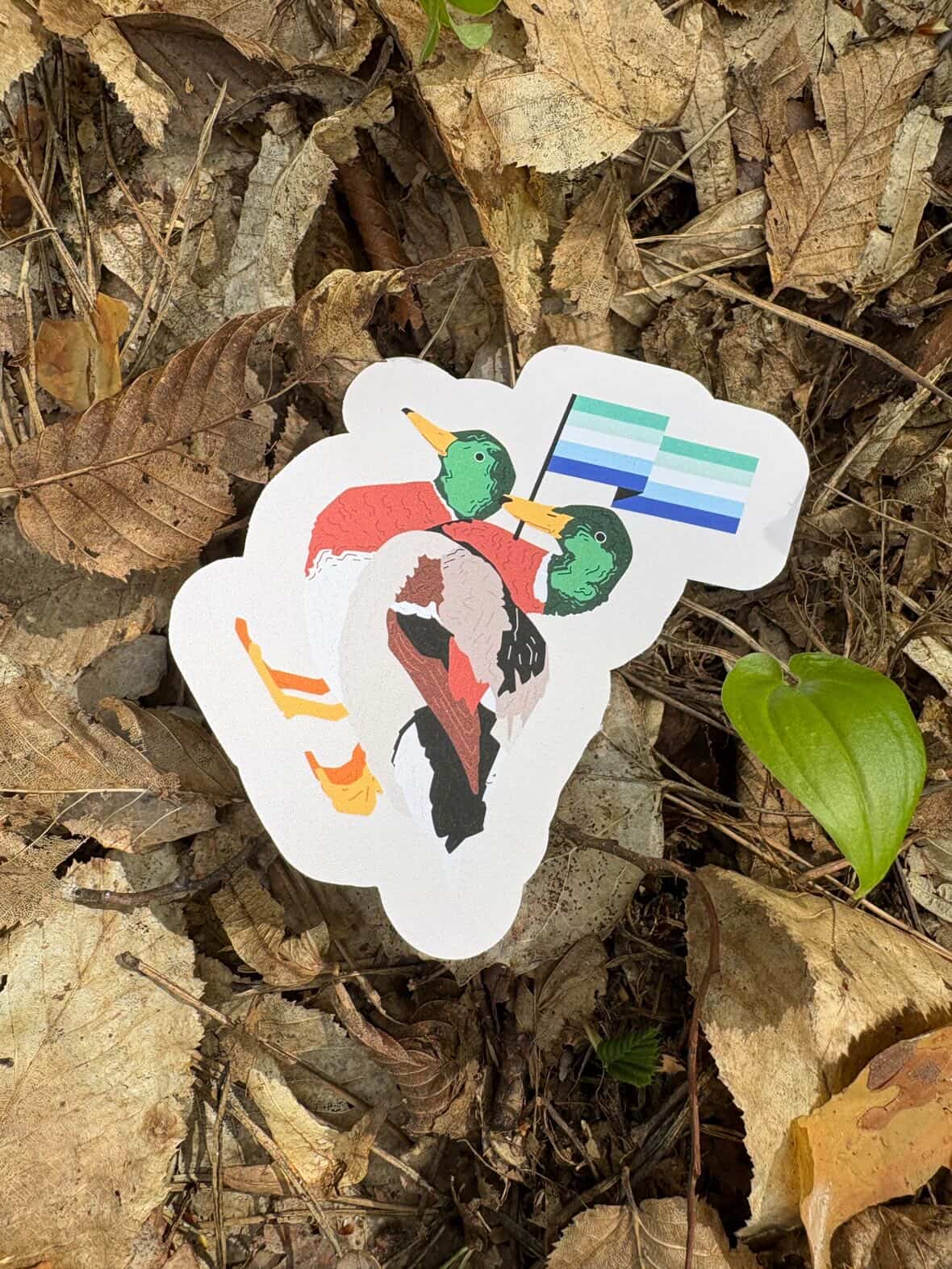Gay Mallards sticker