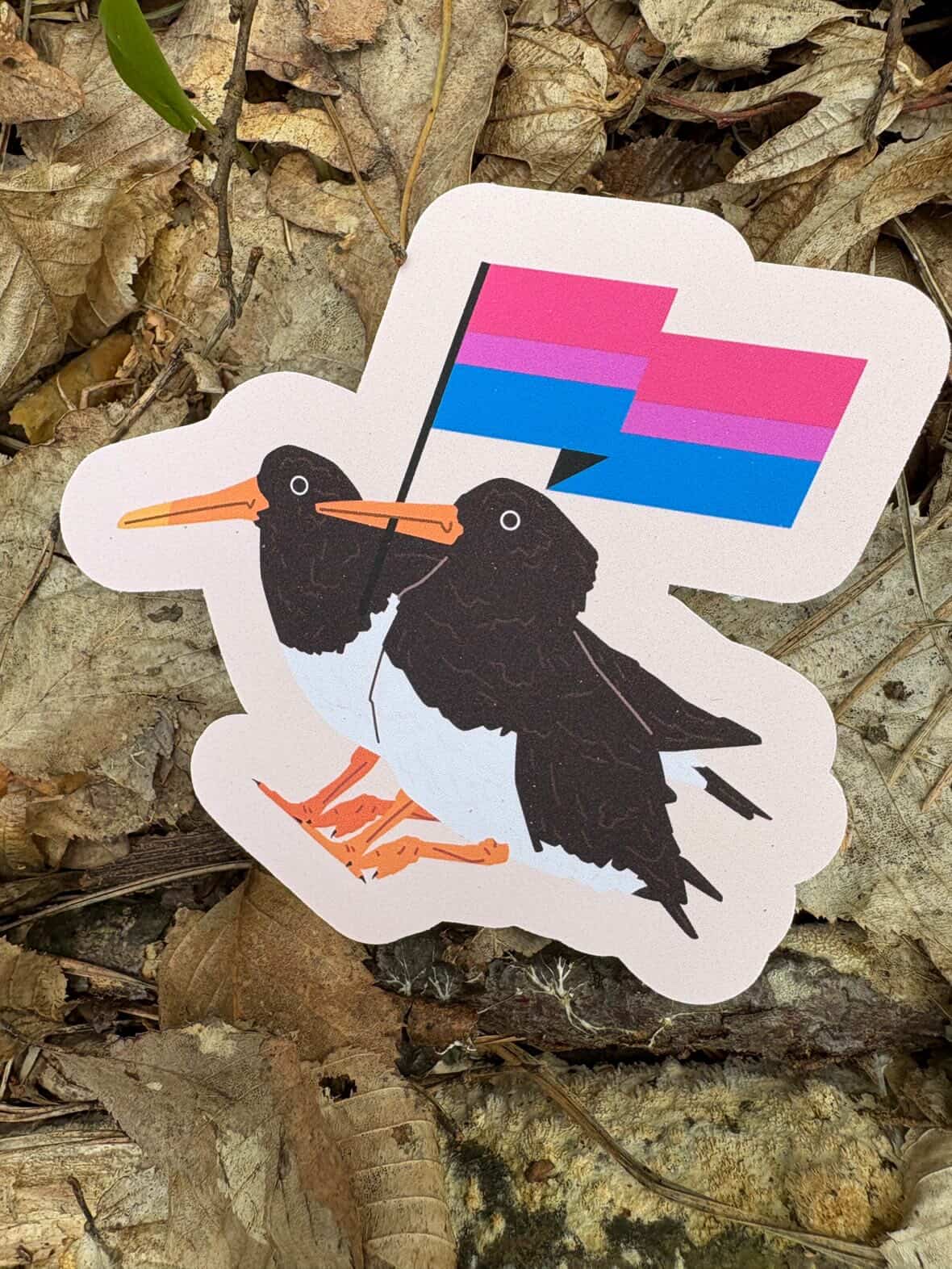 Bisexual Oystercatcher Sticker