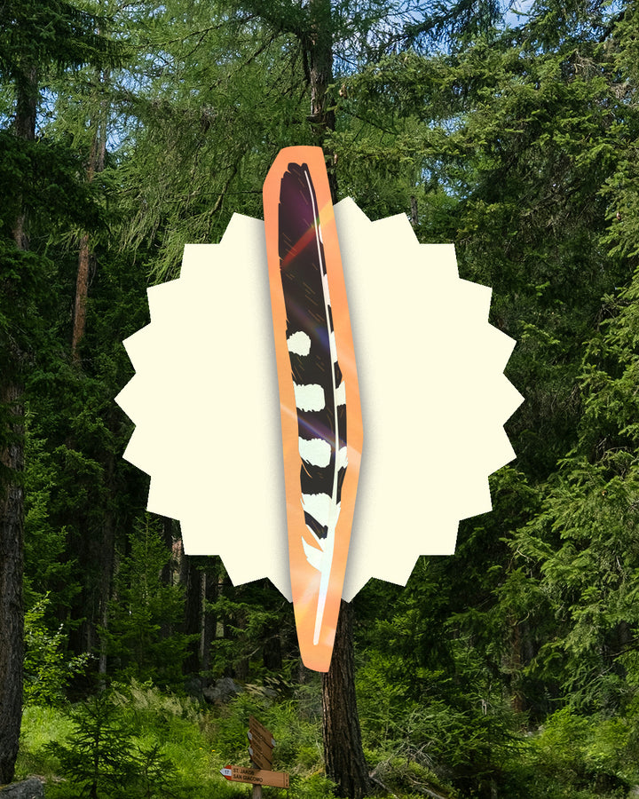 Great-spotted Woodpecker Feather Bookmark