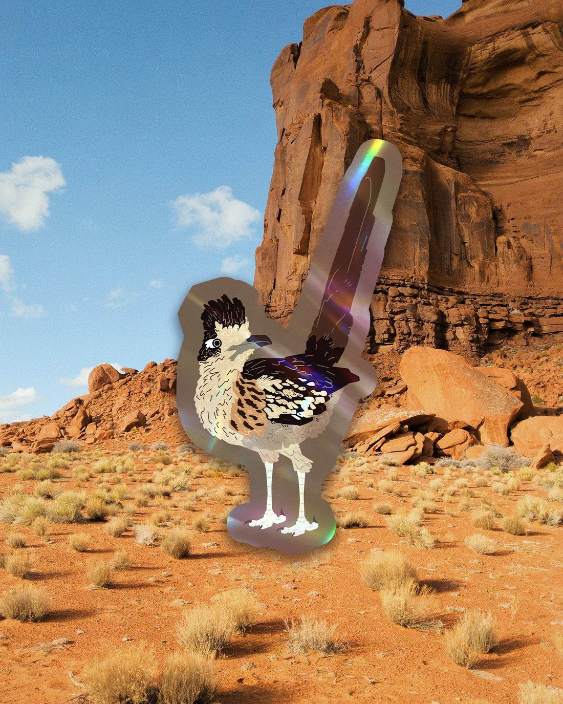 Arizona Bird Sticker Pack