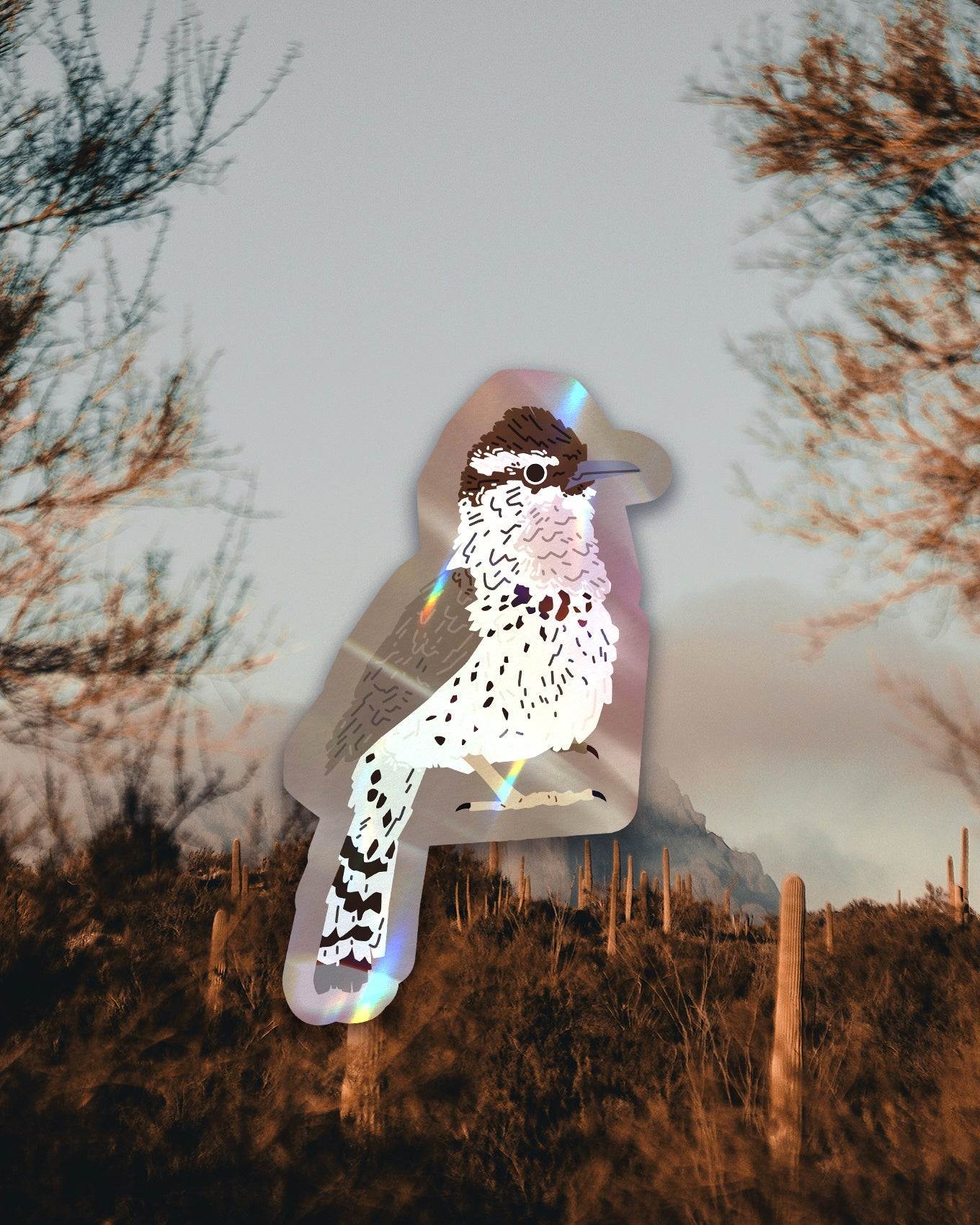 Arizona Bird Sticker Pack