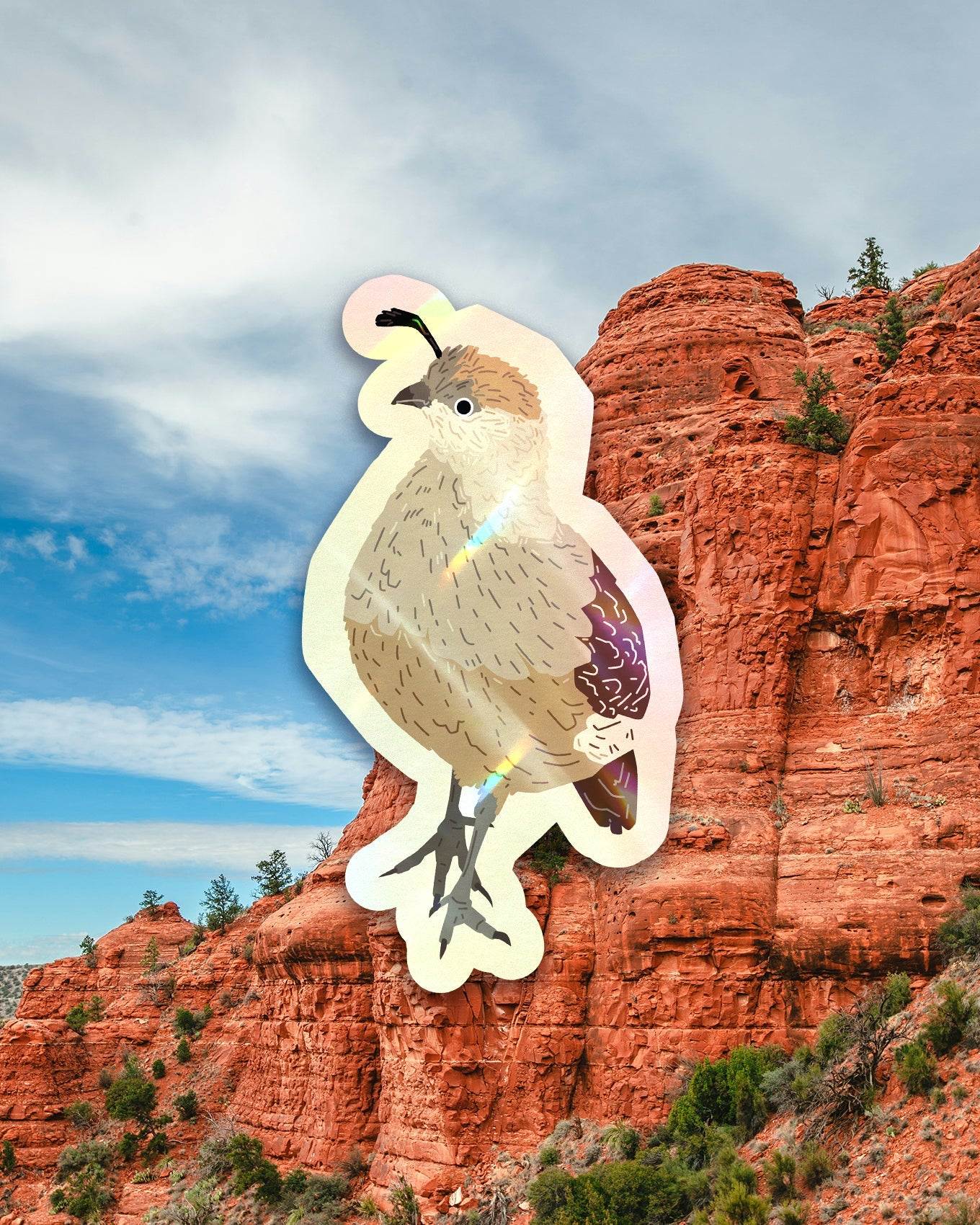 Arizona Bird Sticker Pack