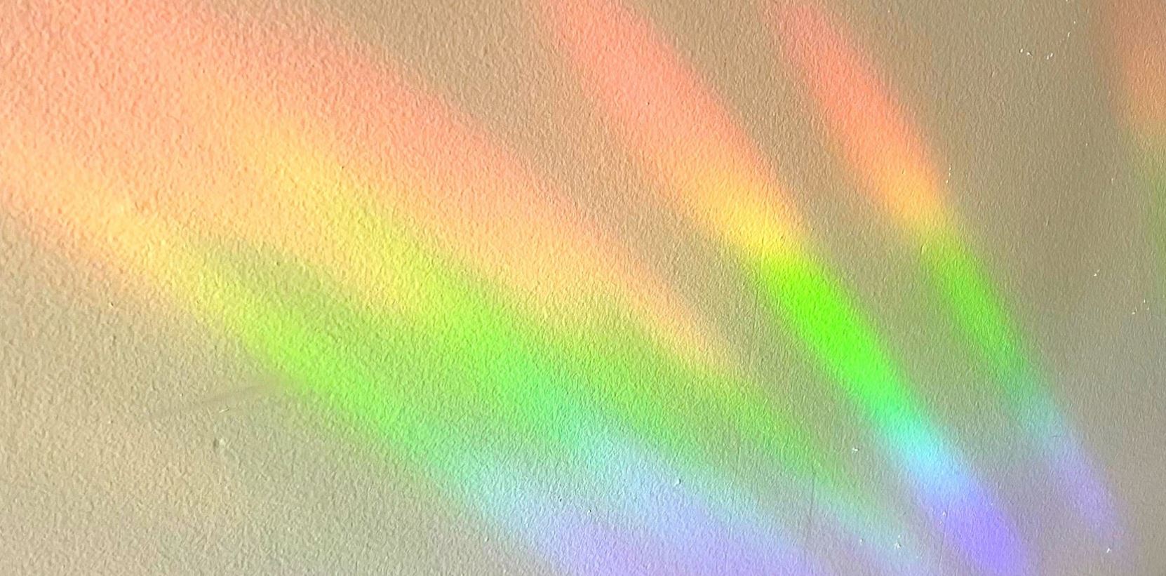 Hoopoe adhesive Suncatcher