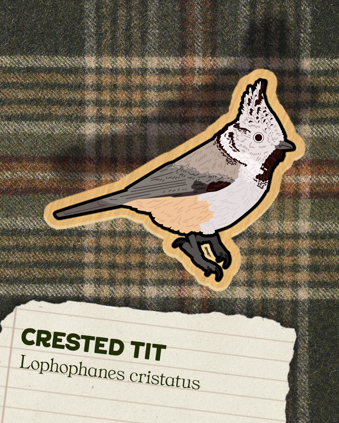 Tits, Chickadees and Titmice - Wooden Pins