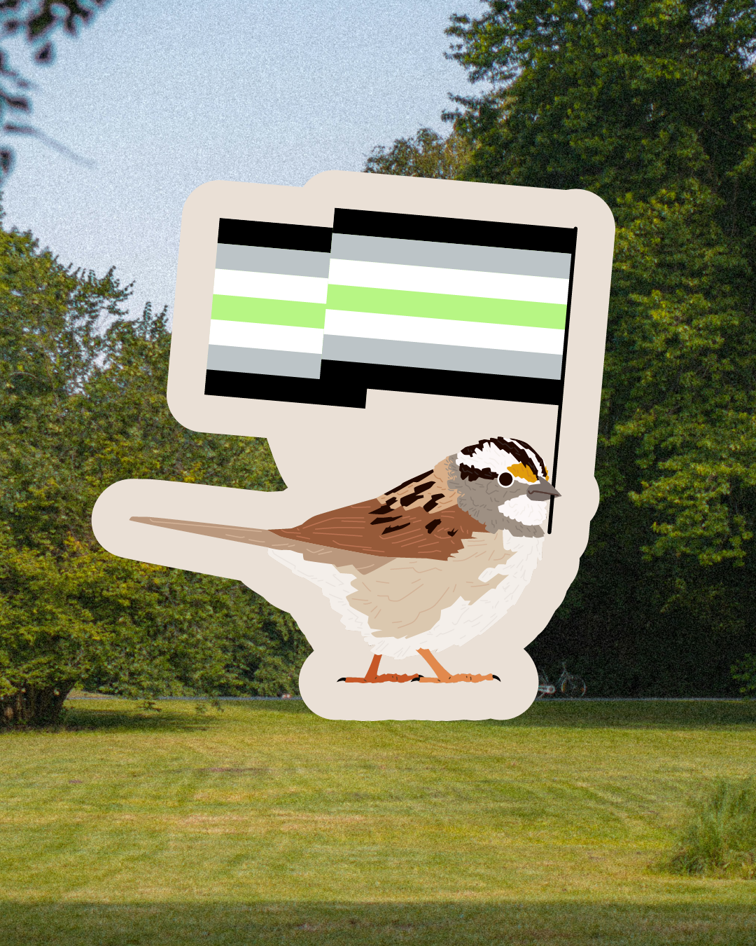 Agender White-throated Sparrow