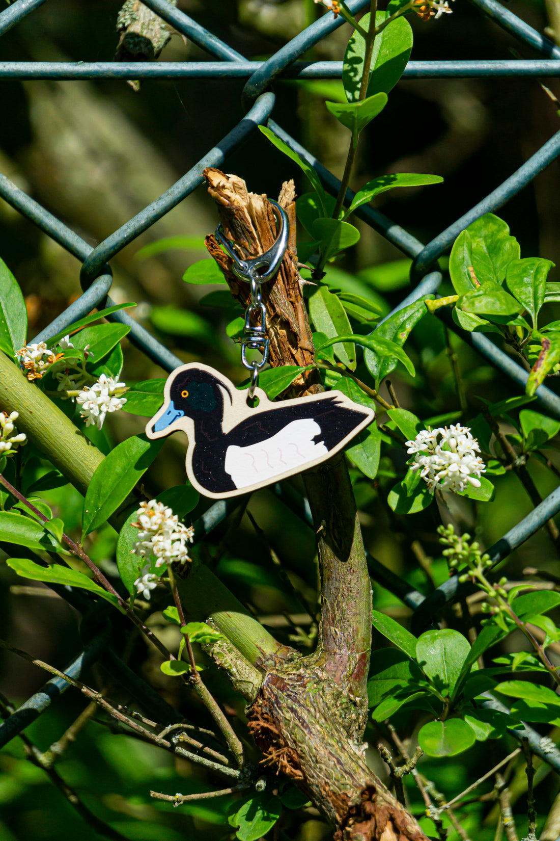 Duck Charms