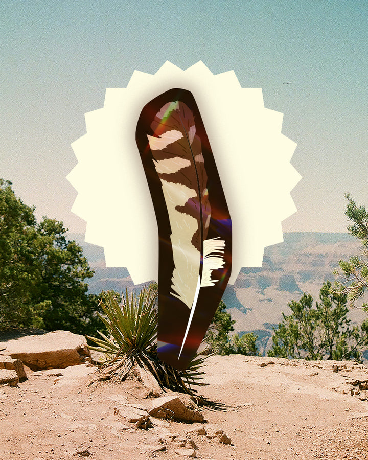 Burrowing Owl Feather Bookmark