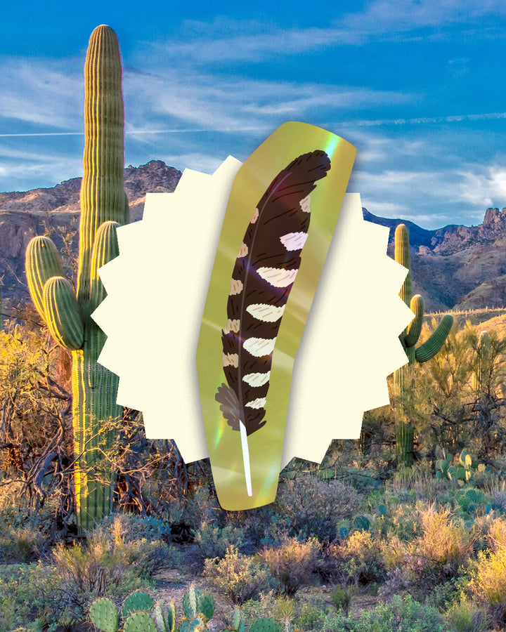 Cactus Wren Feather Bookmark
