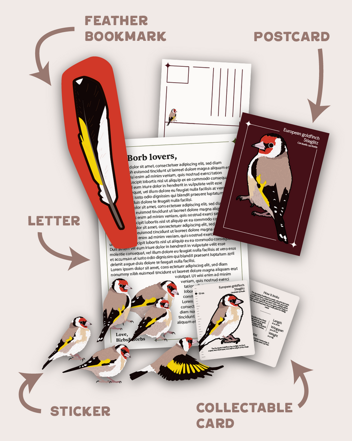 Borb Mail Club