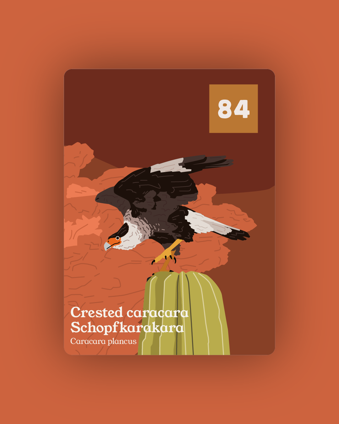 Flock - Collection and Identification cards PREORDER