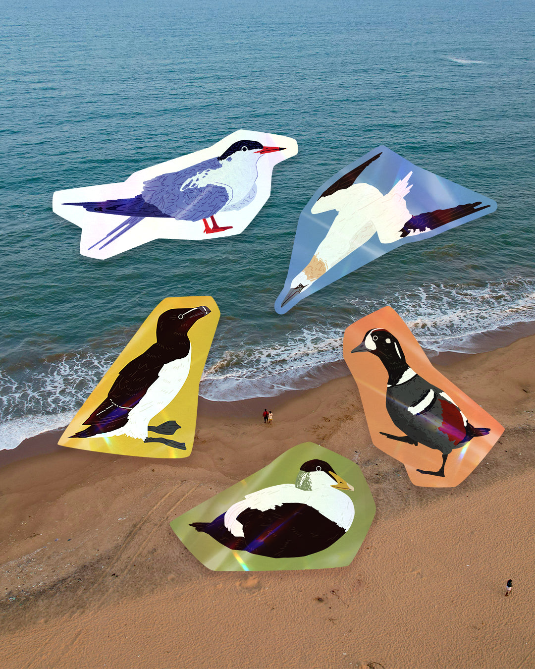 East Cost Waterbird Sticker Pack