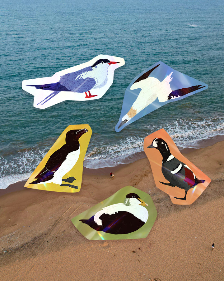 East Cost Waterbird Sticker Pack