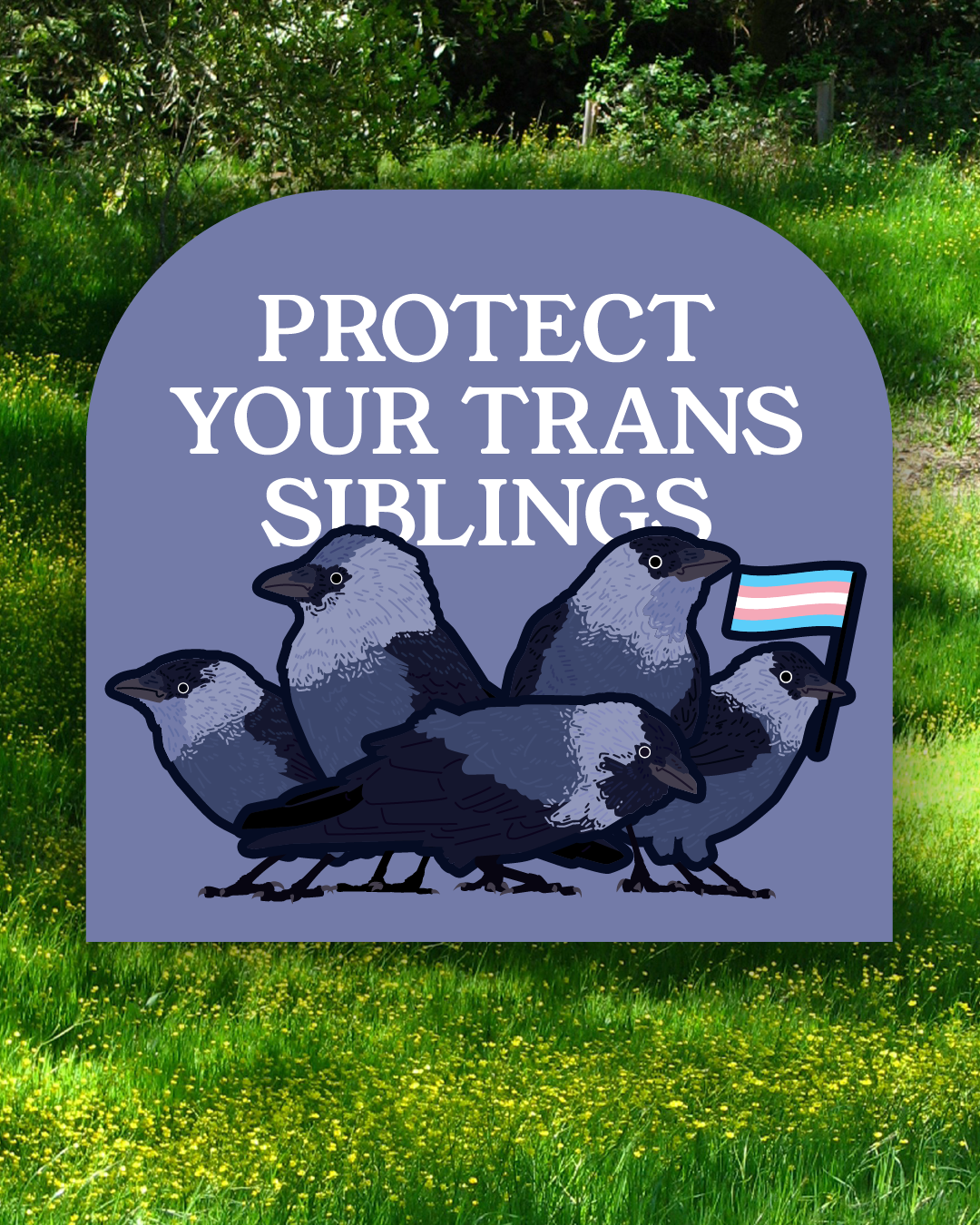 Protect your trans siblings - Sticker