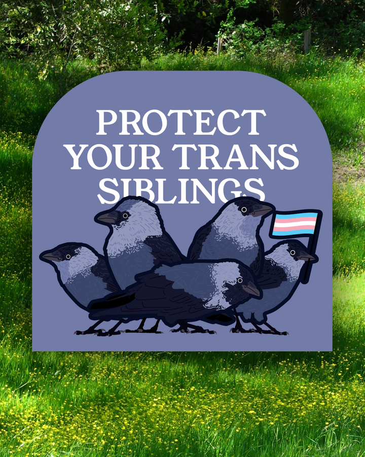 Protect your trans siblings - Sticker