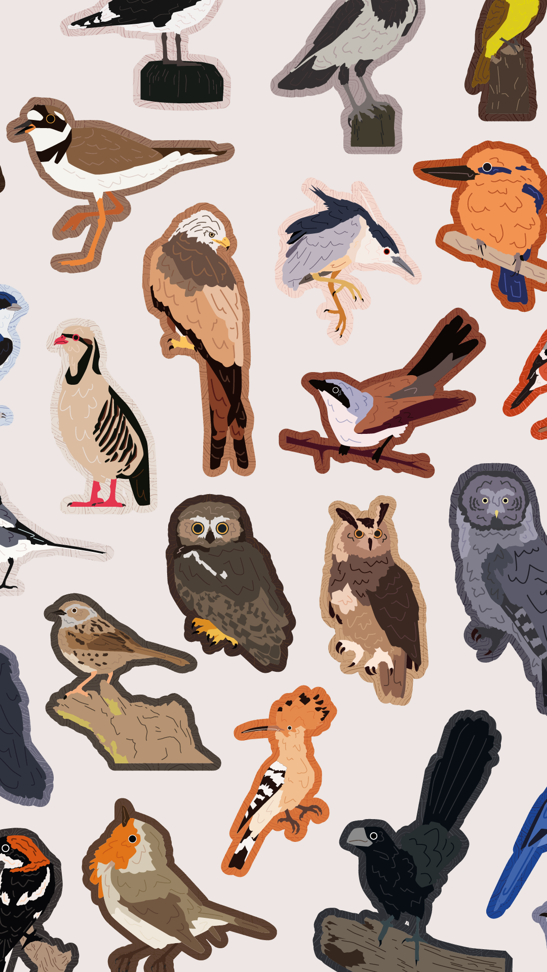 Bird Badges Series 2