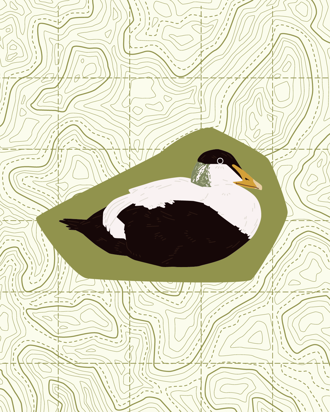 East Cost Waterbird Sticker Pack
