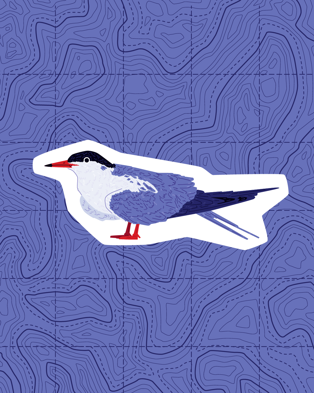 East Cost Waterbird Sticker Pack