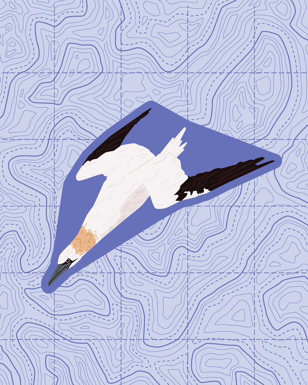East Cost Waterbird Sticker Pack